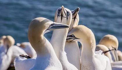 开云电竞登录入口-新星崛起！年轻球员在德甲赛场大放异彩，德甲球员年龄限制